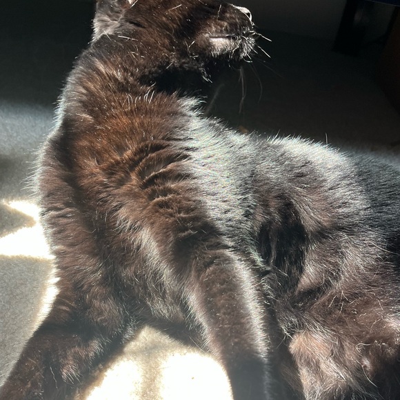 Meet your Posher, Kiddo - Picture 1 of 1